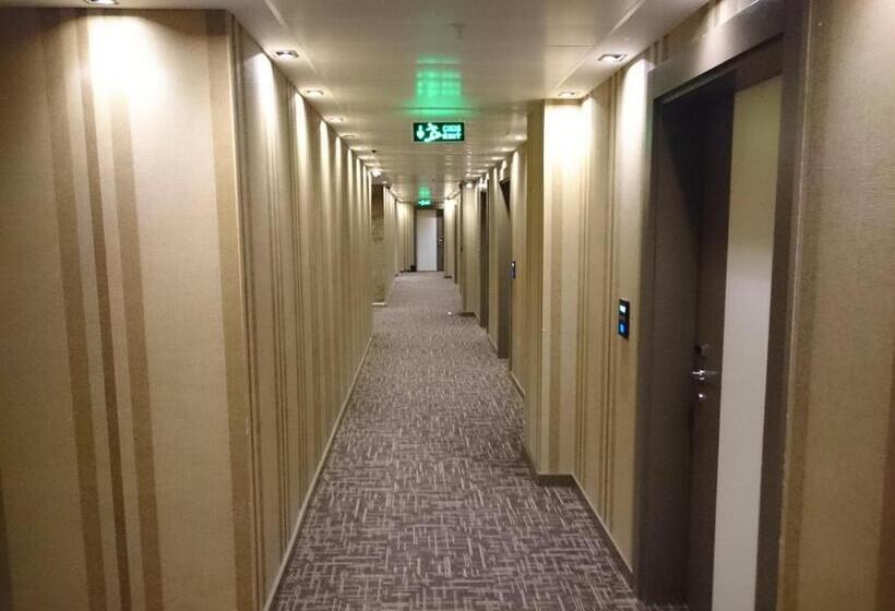 اتاق استاندارد, Livello