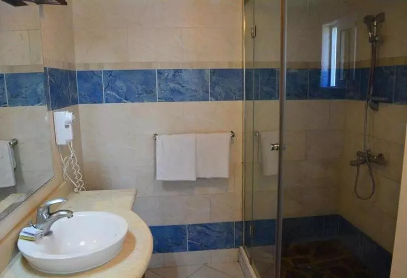 اتاق استاندارد با تخت بزرگ, New Garden