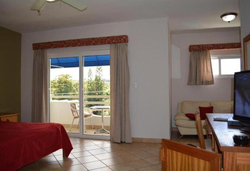 キングサイズベッドのデラックスルーム, New Garden