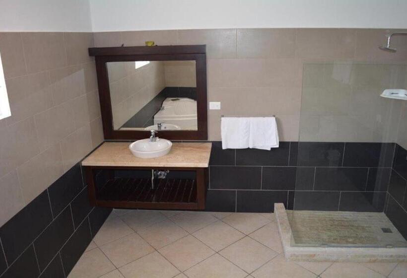 デラックスルーム, New Garden