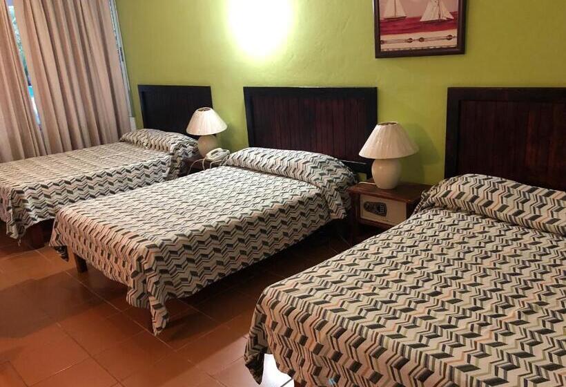 スタンダードトリプルルーム, New Garden