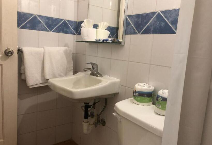 スタンダードトリプルルーム, New Garden