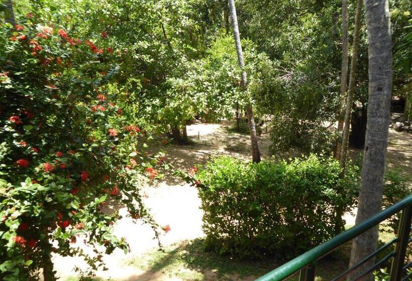 이코노미 싱글 룸, Riviera Resort