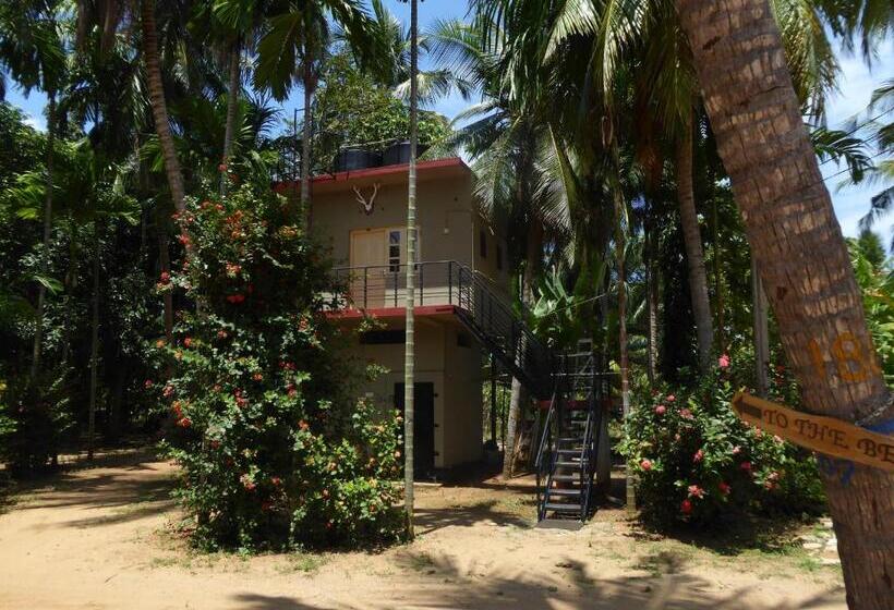 이코노미 싱글 룸, Riviera Resort