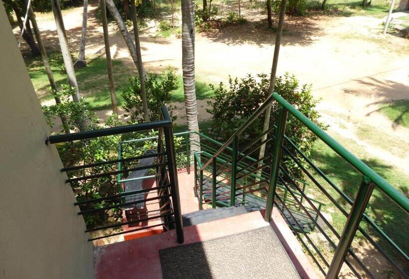 이코노미 싱글 룸, Riviera Resort