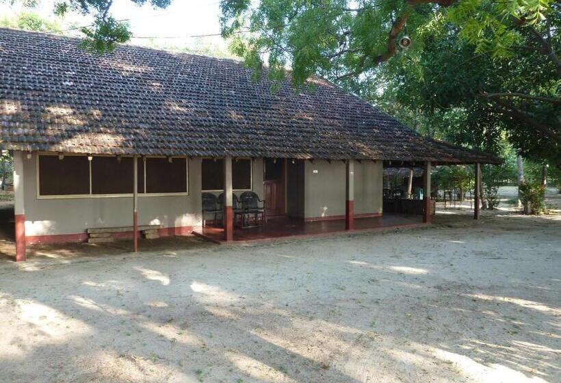 이코노미 룸, Riviera Resort