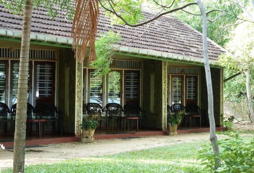 스탠다드 룸, Riviera Resort