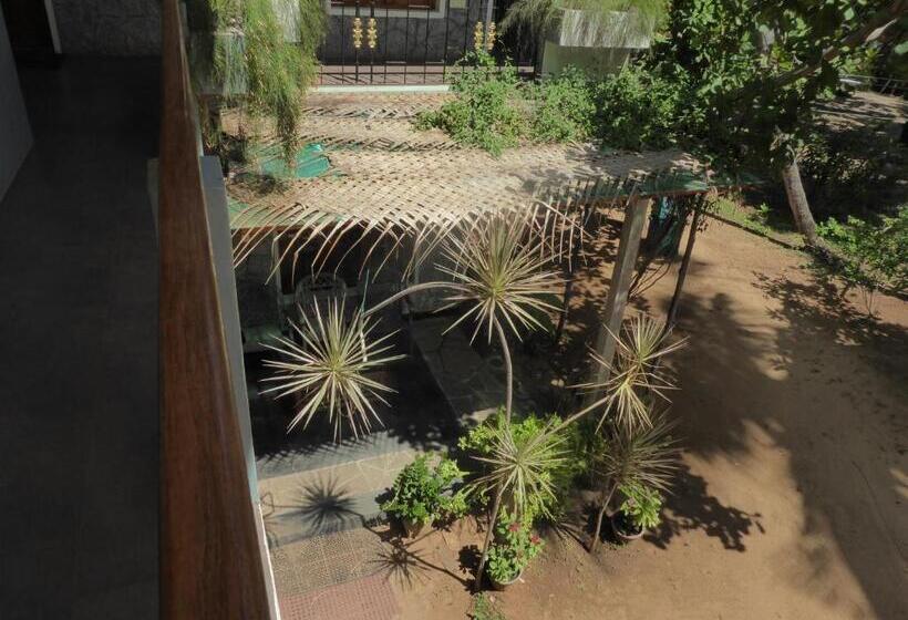 패밀리 룸, Riviera Resort