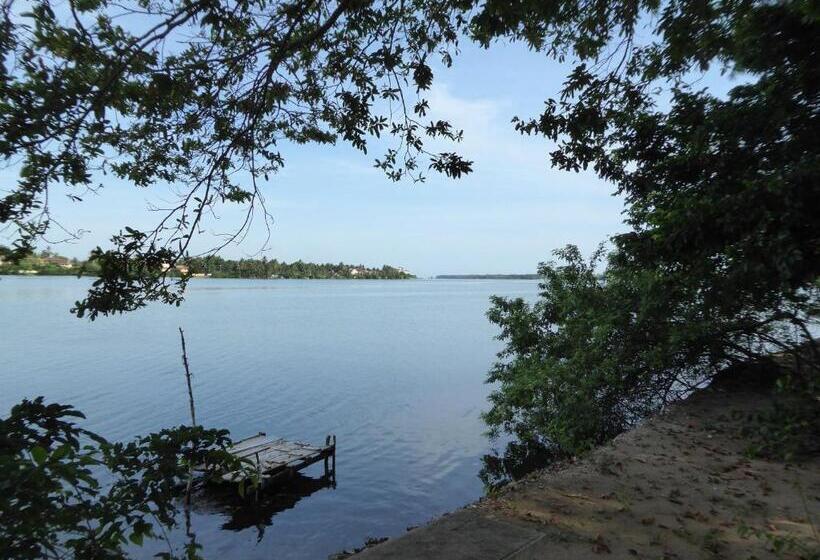 패밀리 룸, Riviera Resort