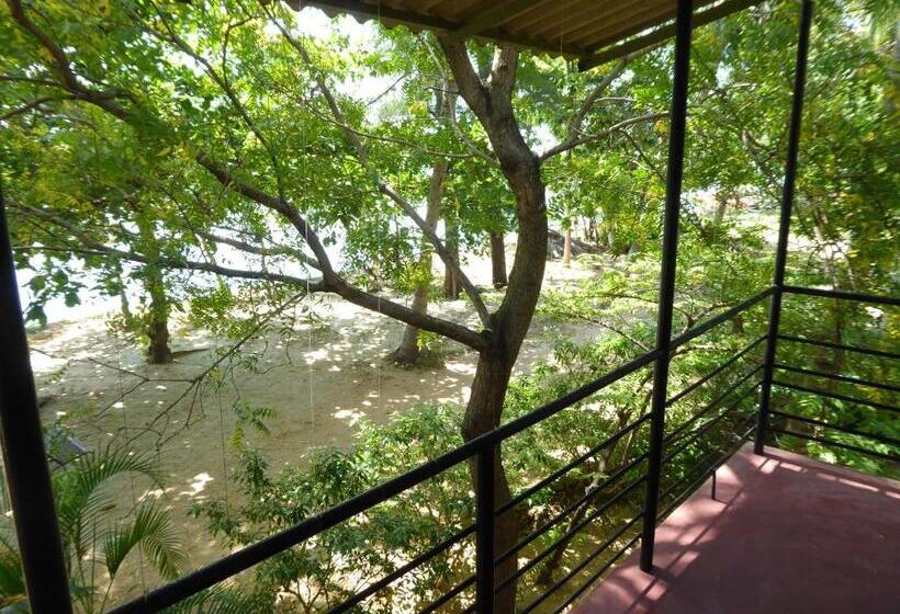 패밀리 룸, Riviera Resort