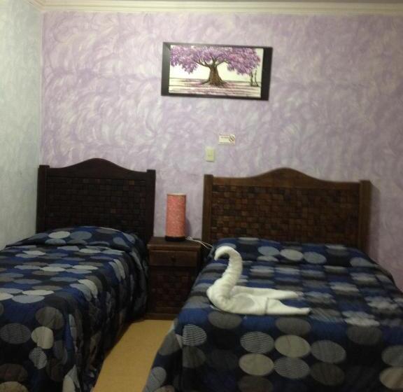 اتاق خانوادگی, Terracota Corner Rooms