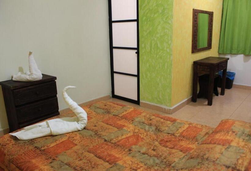اتاق اکونومی, Terracota Corner Rooms