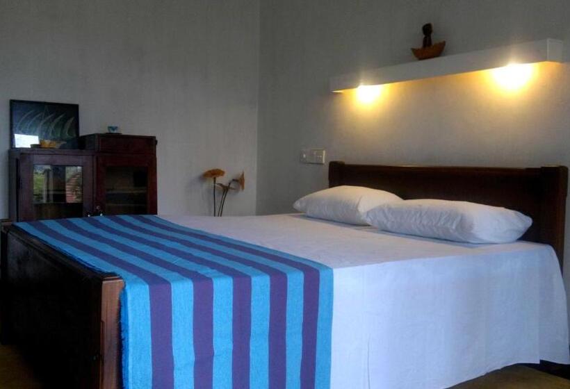 이코노미 룸, Peacock Wings Guest