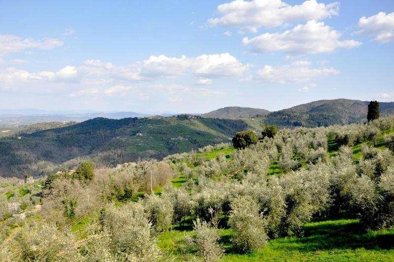 ガーデンビュースタンダードルーム, Agriturismo La Forra