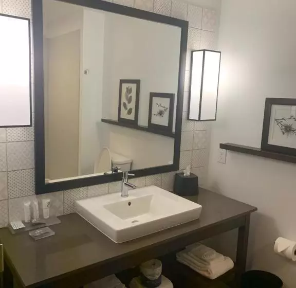 キングサイズベッドのスイートルーム, Country Inn & Suites By Radisson, Smithfieldselma, Nc