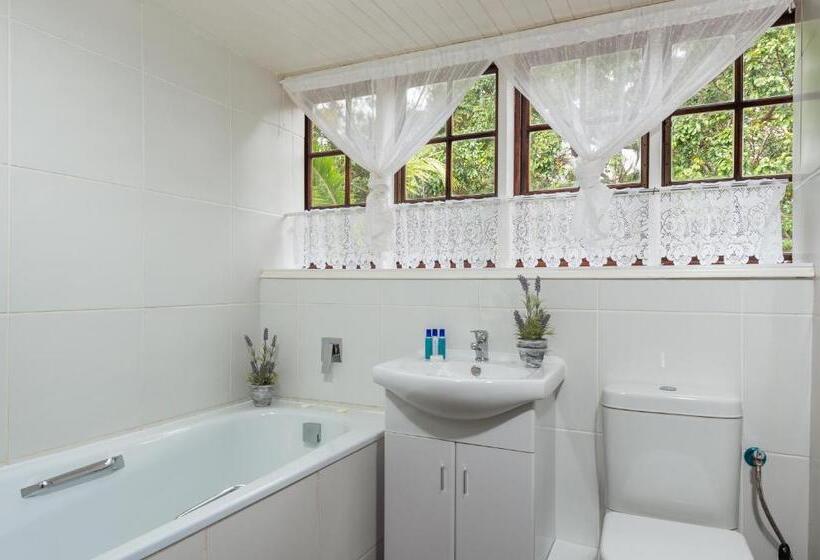 חדר משפחתי, Zesty Guesthouse