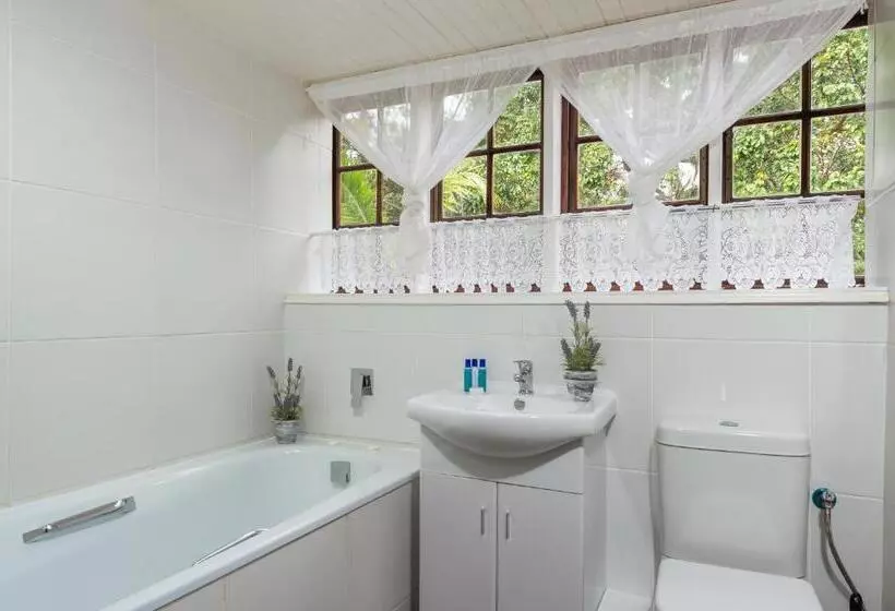 ファミリールーム, Zesty Guesthouse