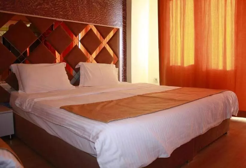 Economy Studio, Terra Suites