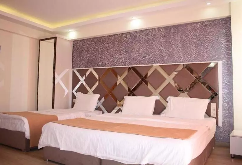 Economy Studio, Terra Suites