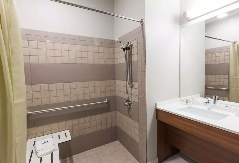 身障者適用スタンダードルーム, Microtel Inn & Suites By Wyndham Tioga