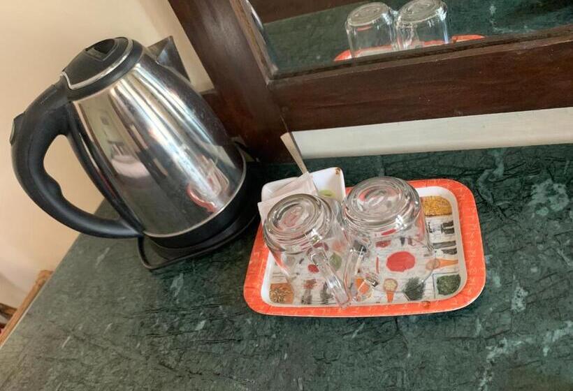 اتاق لوکس, Alpine Hotel & Apartment