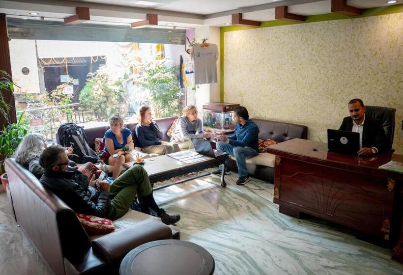 اتاق لوکس, Alpine Hotel & Apartment