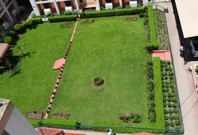 اتاق لوکس, Alpine Hotel & Apartment