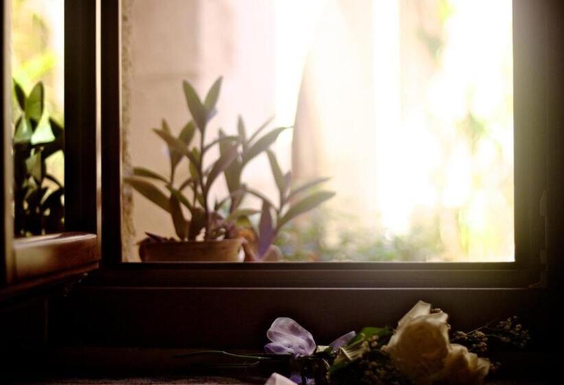 סטודיו סופריור, Casa Dei Delfini