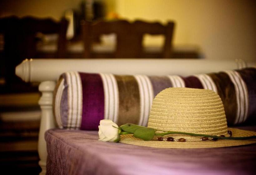 סטודיו סופריור, Casa Dei Delfini