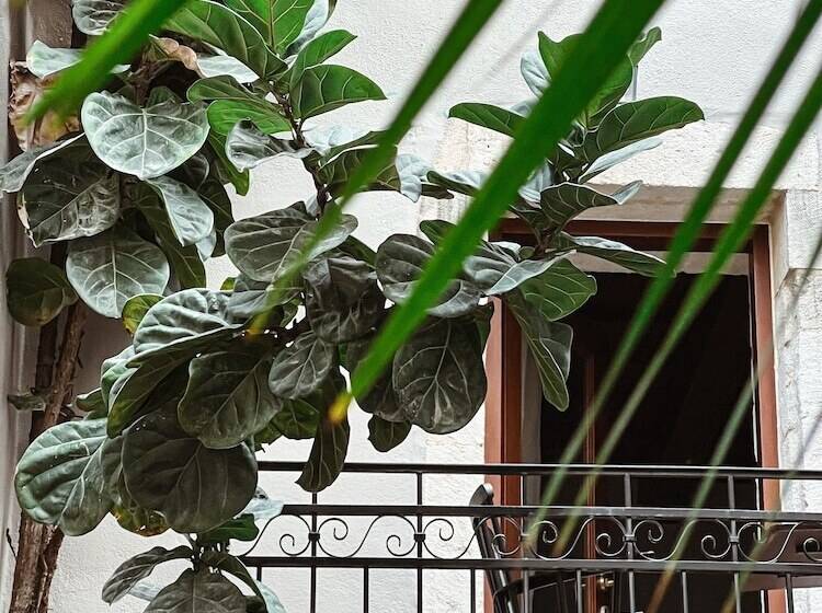 סטודיו סופריור, Casa Dei Delfini