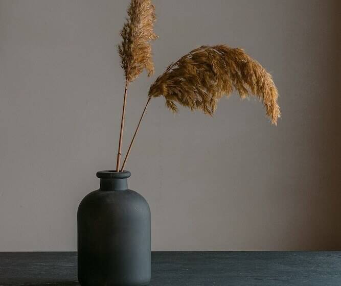 סטודיו סופריור, Casa Dei Delfini