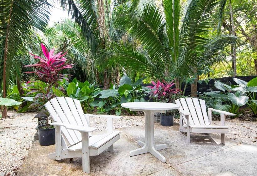 스탠다드 테라스 룸, Bodhi Tree Yoga Resort