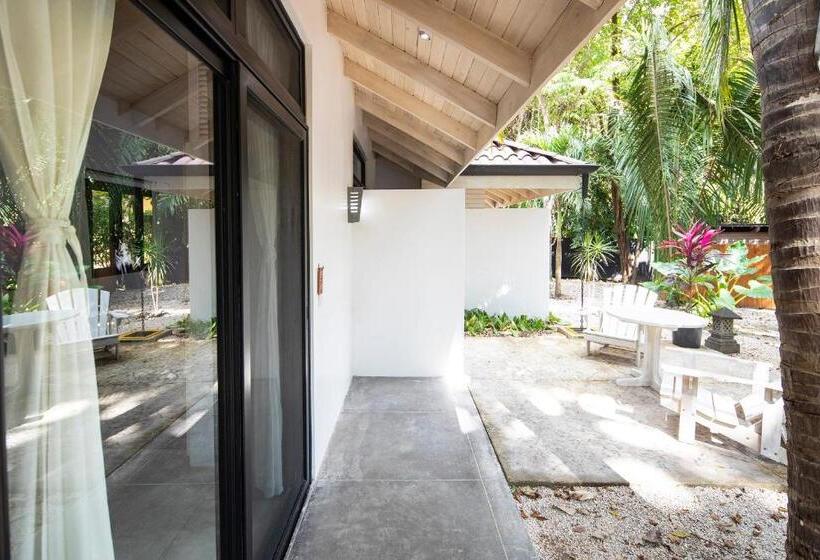 스탠다드 테라스 룸, Bodhi Tree Yoga Resort