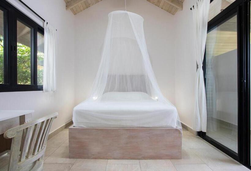 스탠다드 테라스 룸, Bodhi Tree Yoga Resort