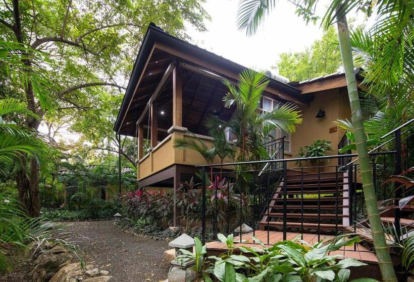Бунгало Deluxe, Bodhi Tree Yoga Resort