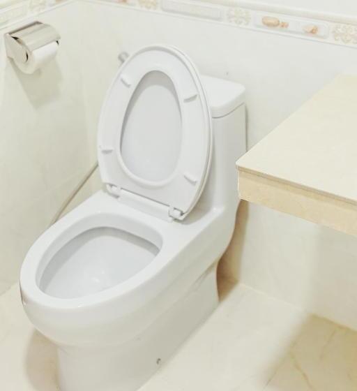 غرفة قياسية سرير كينج, Douangpraseuth