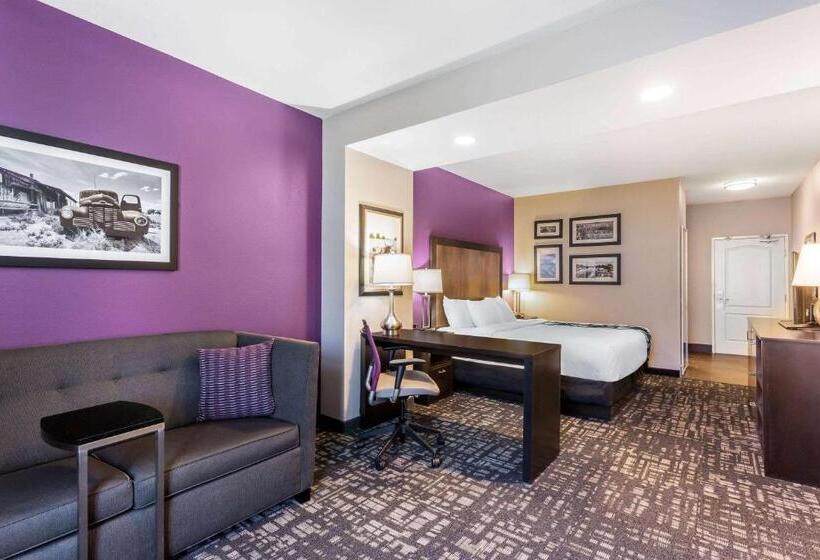 带大床的行政房间, La Quinta By Wyndham Monahans