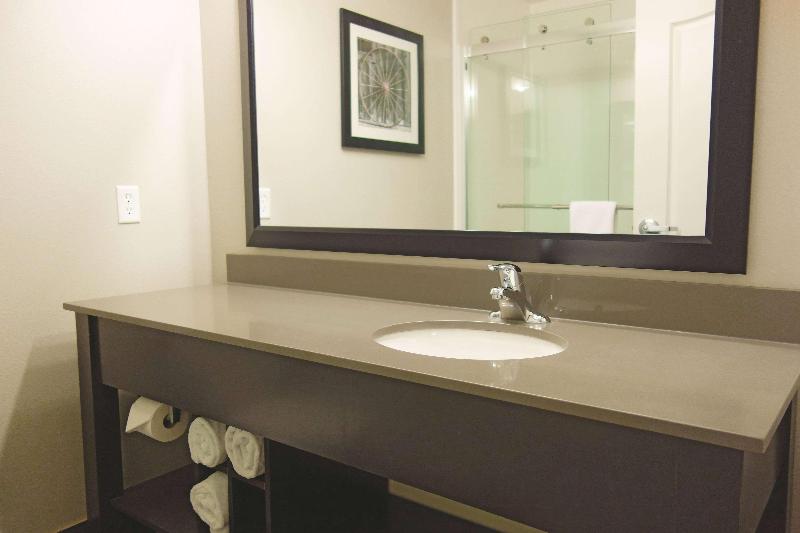 带大床的标准间, La Quinta By Wyndham Monahans