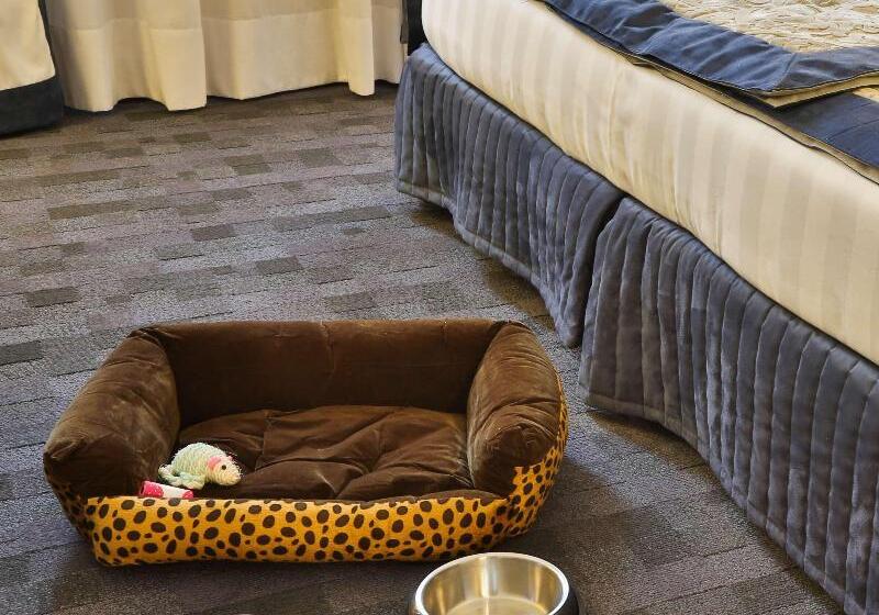 غرفة سوبيريور, Cabañas Ruca Kuyen Golf & Resort