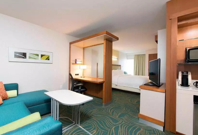 キングサイズベッドのスイートルーム, Springhill Suites Houston Sugar Land