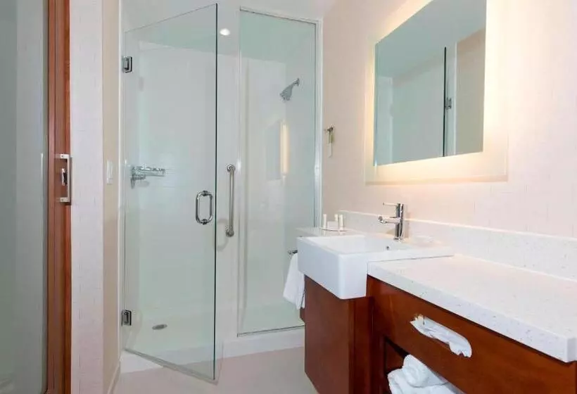 スイート, Springhill Suites Houston Sugar Land