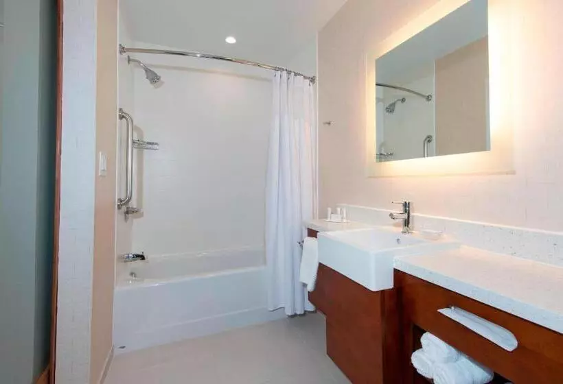 スイート, Springhill Suites Houston Sugar Land