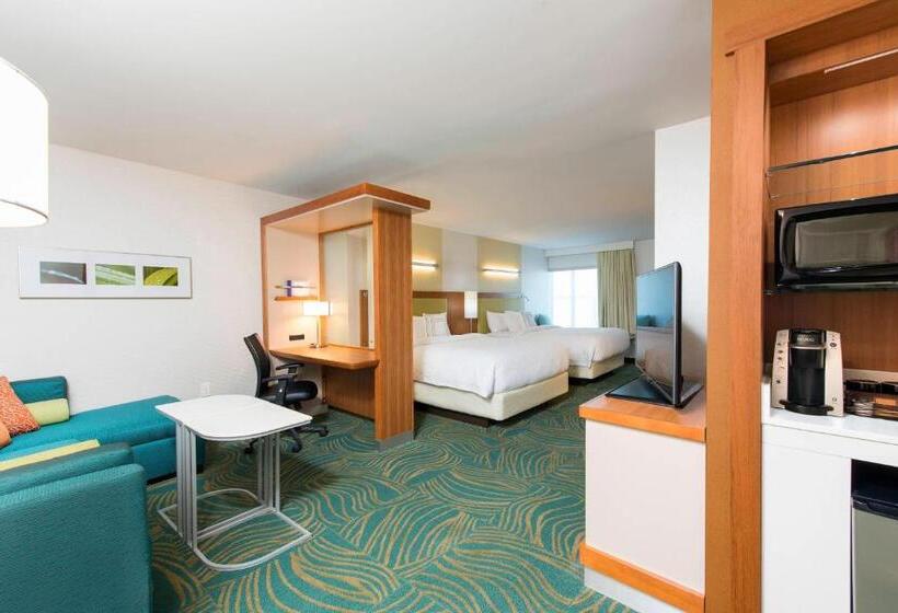 Люкс, Springhill Suites Houston Sugar Land