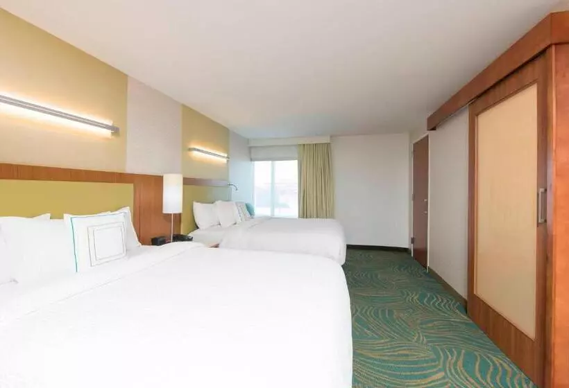 スイート, Springhill Suites Houston Sugar Land