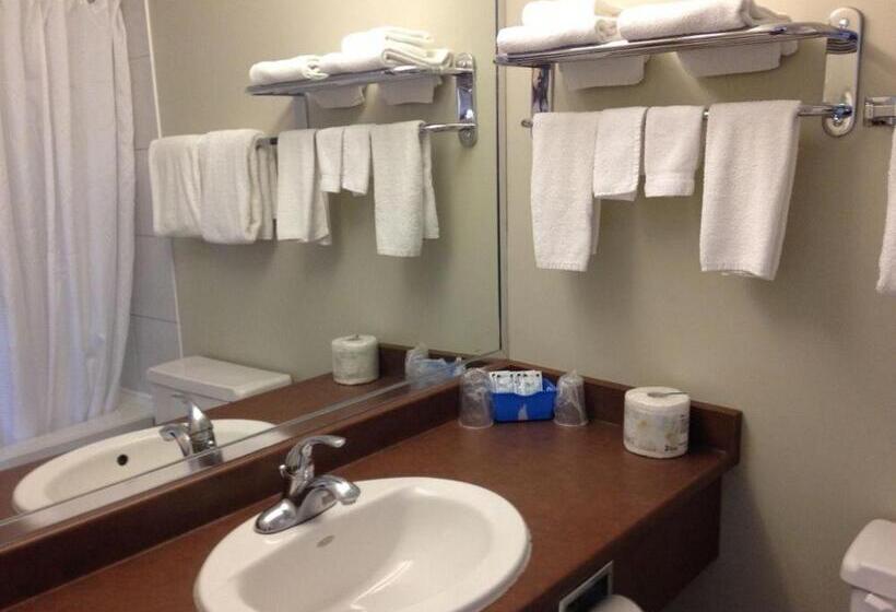 חדר סטנדרט שתי מיטות זוגיות, Silver Crest Lodge