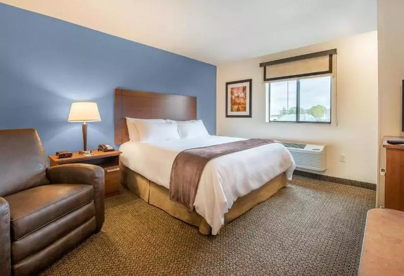 اتاق استاندارد با تخت بزرگ, My Place Hotel Brookings, Sd