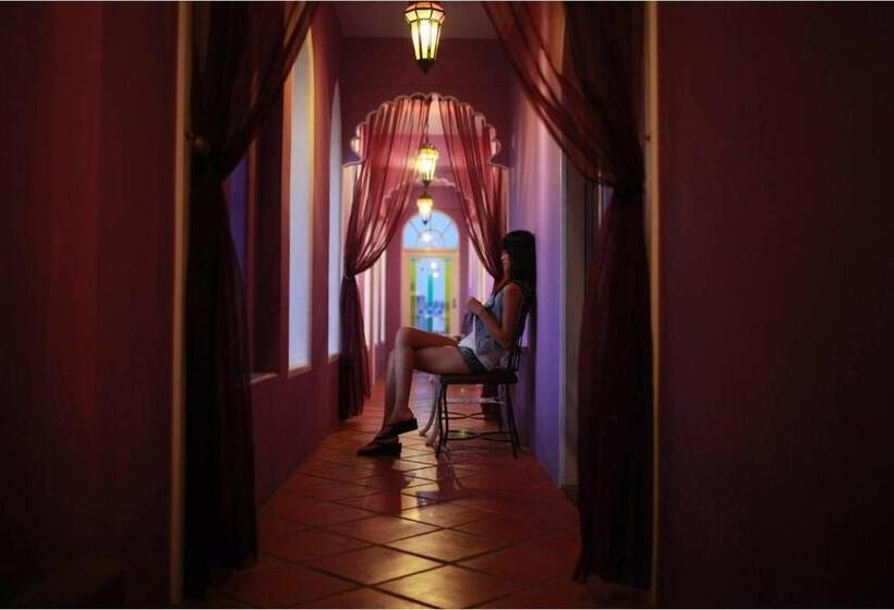 اتاق استاندارد, Raid Gardden Boutique