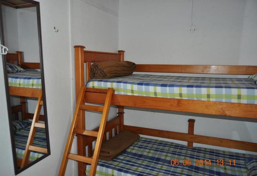 سرير فى غرفة مشتركه, Amakaya Backpackers Travelers Accommodation