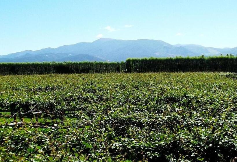 침실 2개 아파트, Avalon Manor Motel