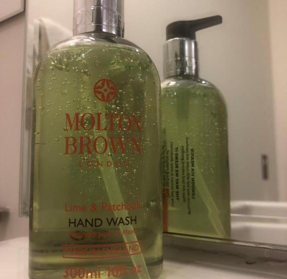 اتاق اجرایی سه نفره, 1866 Court & Suites